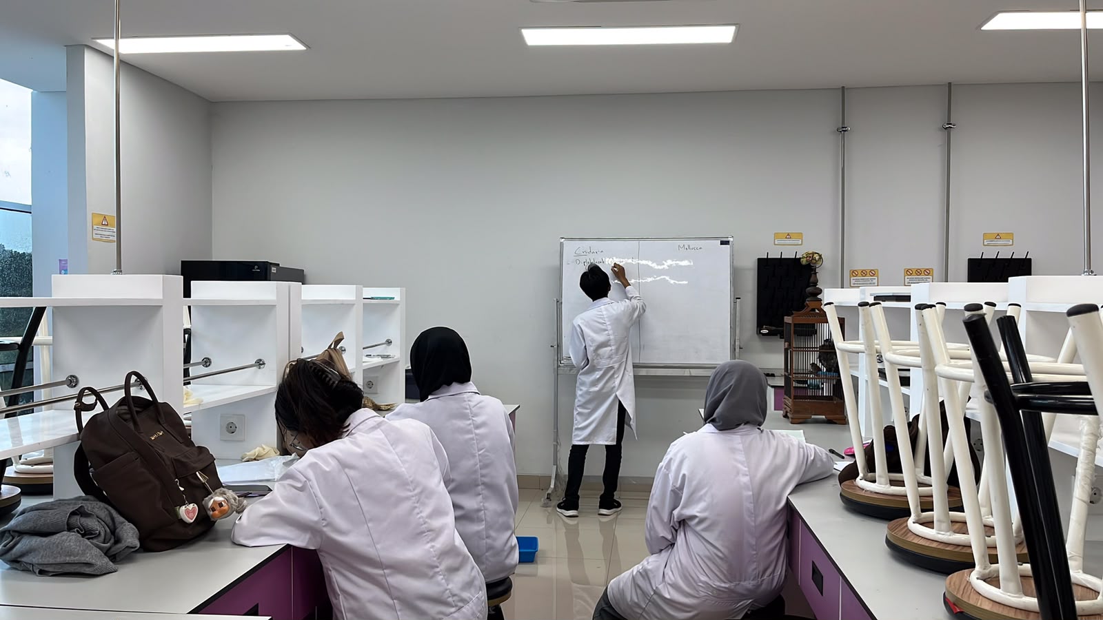Presentasi Praktikum